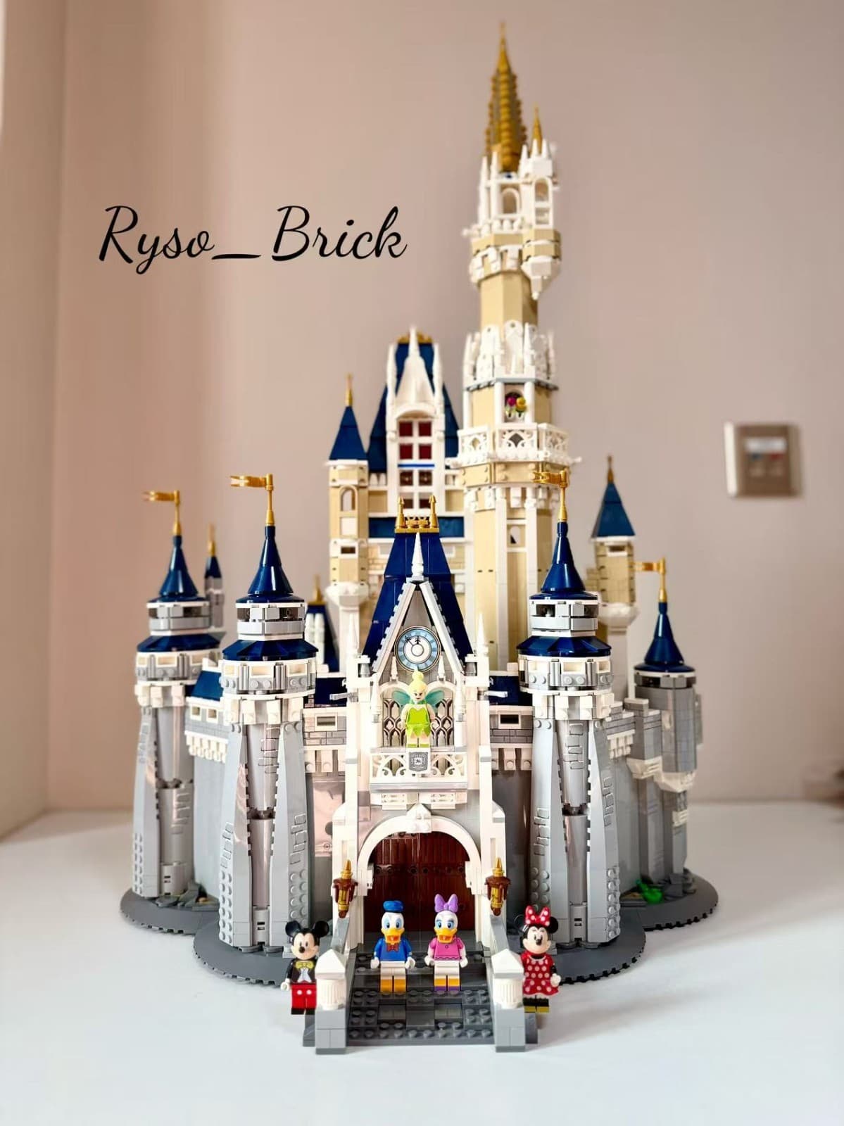 The Disney Castle